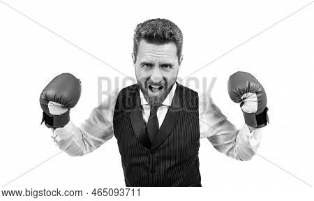 Successful Ceo Boxer. Relentless Struggle And Success. Shouting Man Ready For Corporate Battle