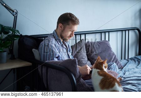 Caucasian Bearded Young Man Using Tablet Sitting In Bed Wearing Pajamas And Tabby Cat Near Him. Dist