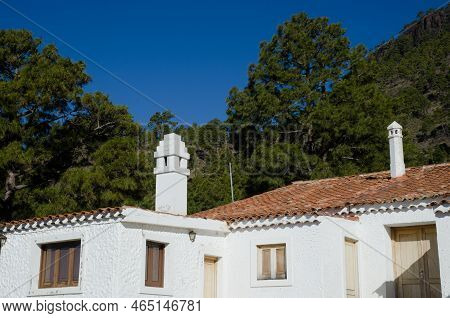 Mogan, May 29, 2018: Forest House Of Ojeda And Forest Of Canary Island Pine Pinus Canariensis. Reser