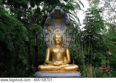 Ancient Golden Buddha Image Protected By The Hood Of The Mythical Serpent Or Naga In The Garden At W