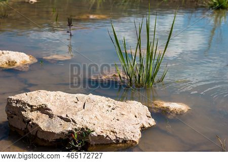 Pieces Of White Marble-like Limestone In Water At The Site Of A Limestone Quarry