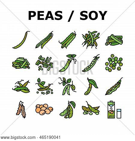 Soy Bean Food Pea Green Icons Set Vector. Vegetable, Vegetarian Healthy, Soybean Seed, Organic Pod, 