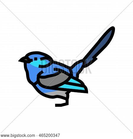 Splendid Fairywren Bird Exotic Color Icon Vector. Splendid Fairywren Bird Exotic Sign. Isolated Symb