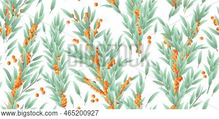 Branches Of Overgrown Sea Buckthorn With Ripe Fruits. Garden Plant With Edible Crop. Seamless Compos