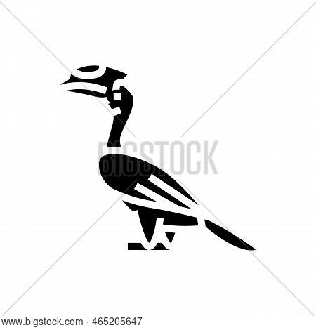Malabar Pied Hornbill Bird Exotic Glyph Icon Vector. Malabar Pied Hornbill Bird Exotic Sign. Isolate
