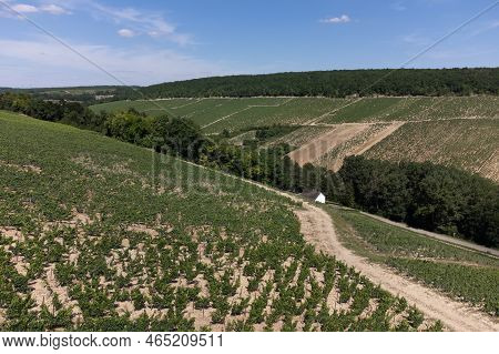 Aerial View On Chablis Grand Cru Appellation Vineyards With Grapes Growing On Limestone And Marl Soi