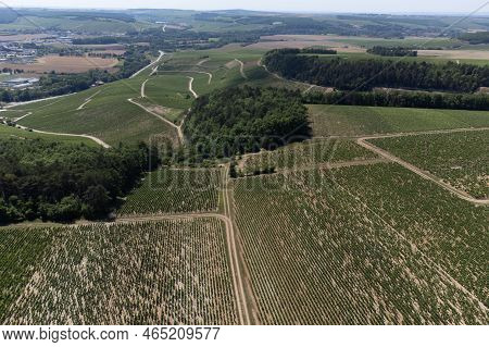 Aerial View On Chablis Grand Cru Appellation Vineyards With Grapes Growing On Limestone And Marl Soi