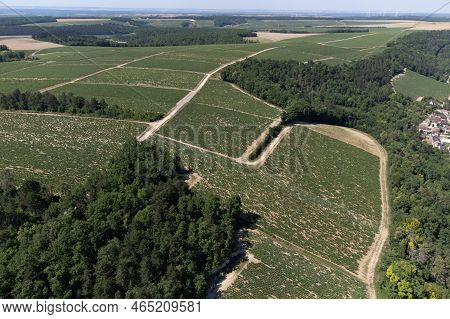 Aerial View On Chablis Grand Cru Appellation Vineyards With Grapes Growing On Limestone And Marl Soi