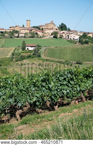 Landscape With Vineyards Near Beaujolais Wine Making Village Val D'oingt, Gateway To Beaujolais Wine