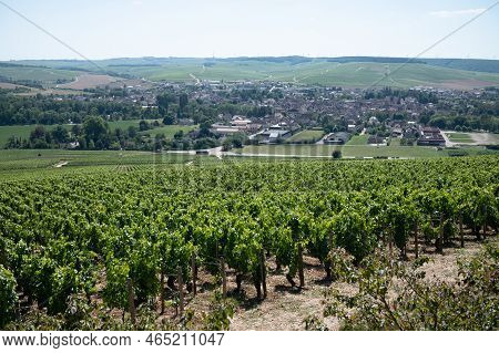 Panoramic View On Chablis Grand Cru Appellation Vineyards With Grapes Growing On Limestone And Marl