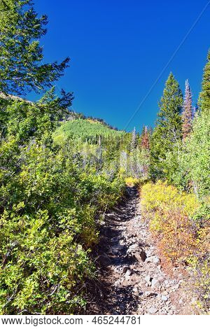 Bear Canyon Hiking Trail Views By Mount Timpanogos Peak Wasatch Range, Utah. Usa.