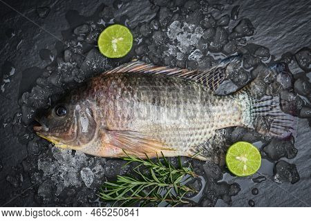 Fresh Raw Tilapia Fish From The Tilapia Farm, Tilapia With Ice On Dark Background - Top View