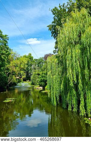 Beautiful View Of The Green Trees In The Park Near The Pond