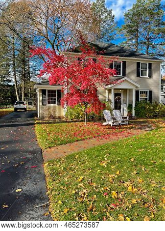 Long Drive Way Leading To Two Story House With Colorful Red Maple Leaves And White Adirondack Chairs