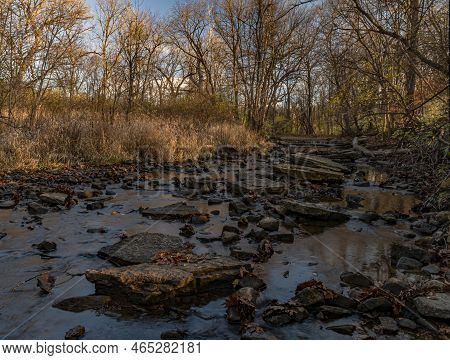 Sawmill Creek Flows With Low Water In Late Autumn, Waterfall Glen Forest Preserve, Dupage County, Il