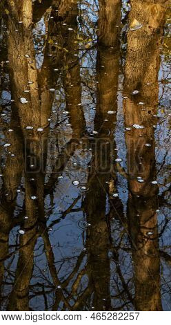 Reflections Of Tree Trunks And A Blue Sky Appear Along With Foam Dots In Sawmill Creek, Waterfall Gl