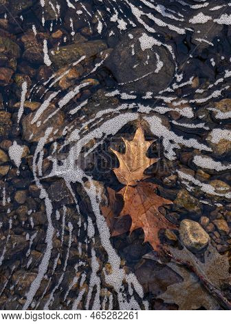Foam Created By Cascading Water In Sawmill Creekm Flows Around A Couple Oak Leaves Stuck On A Rock I
