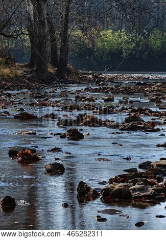 Rock Creek Joins The Kankakee River On A Late Autumn Morning, Kankakee River State Park, Kankakee Co