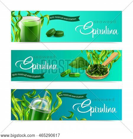 Realistic Spirulina Horitontal Banners Set With Images Of Ripe Seaweed And Ready Products With Ornat