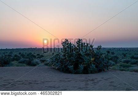 Sun Rising At The Horizon Of Thar Desert, Rajasthan, India. Tourists From Across India Visits To Wat