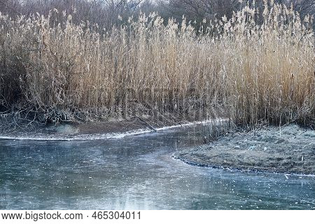 Frozen Lake Tisza Canals With Ice And Reed, Winter Frost