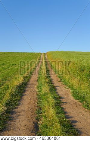 Countryside Path Dirt Road Along Grape Plantation In Summer
