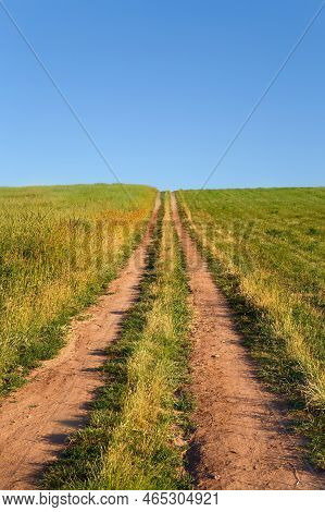 Countryside Path Dirt Road Along Grape Plantation In Summer