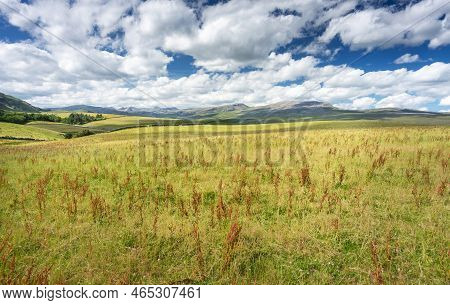 Scottish Highland Summer Meadows,in Remote Area,along North Coast 500 Route,within Tranquil,rural La