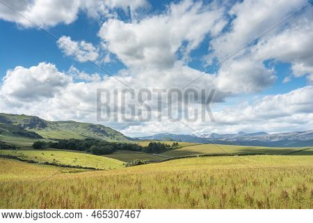 Quiet And Secluded,in Mid-summer,blue Sky And Fluffy White Clouds Hanging Over Beautiful,sunny, Nort