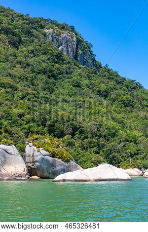 Forest And Rocks In The Beach