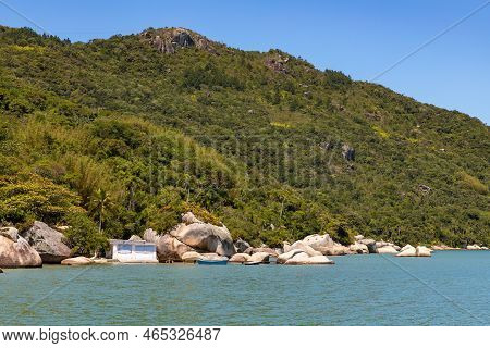 Forest And Rocks In The Beach