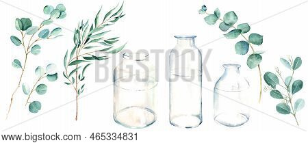 Watercolor Eucalyptus Branch Set With Glass Bottle, Vase, Jar. Willow, Silver Dollar, True Blue And 