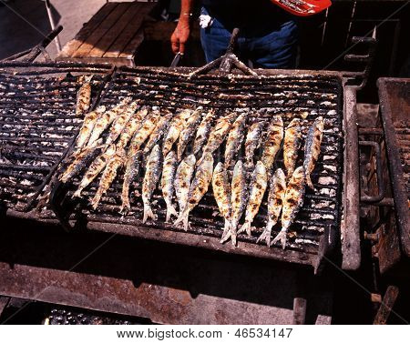 Sardines grillées, Portugal.