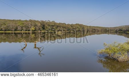 A Lake In The Jungle With A Smooth Mirror Surface. There Are Thickets Of Trees On The Shore. Bizarre