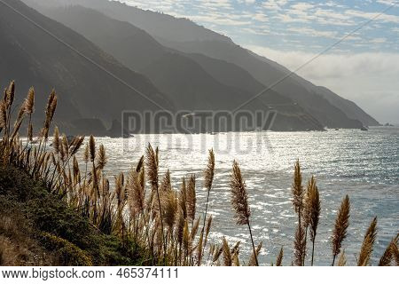Sea Grass And Ridges Rise From The Pacific Along Highway One In Calfiornia