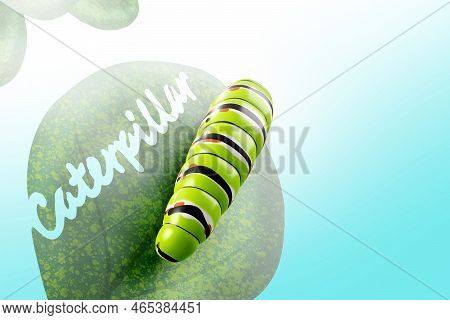 Cartoon 3d Model Fat Caterpillar Green And White With Yellow And Black Pattern Cartoon Enhance Child