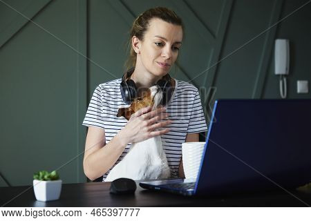 Remote Work From Home Office. Woman At Worklace With Her Dog. Female Freelancer Using Laptop At Livi