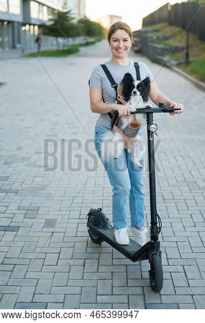 A Woman Rides An Electric Scooter With A Dog In A Backpack. Pappilion Spaniel Continental In A Sling