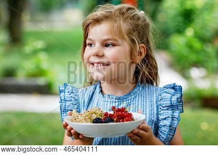 Little Girl Holdig Red Currants, White Currants And Blackberries In A Bowl In Sunny Summer Garden. H