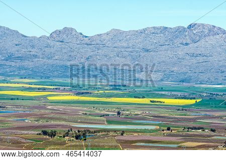 View From The Gydo Pass Near Ceres In The Western Cape Province. Yellow Canola Fields Are Visible