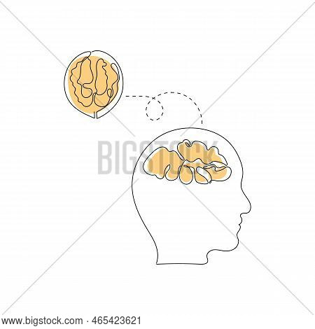 Walnut - Healthy Food For Strong Brain. Nutriment Concept. One Line Art. Hand Drawn Vector Illustrat