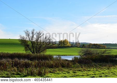 Swampland In Autumn With A Little Lake Below Green Fields