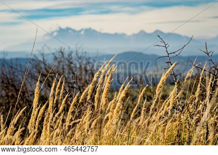 Mountain Scenery With Green Pastures And Rocky Tatra Mountains In The Background During The Day.