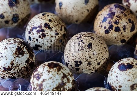Quail Eggs Photographed Close-up In A Dark Key Side View