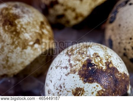 Quail Eggs Photographed Close-up In A Dark Key Side View