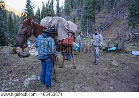 Glenwood, New Mexico - October 27, 2022: Hunters Gear Up And Saddle Up Horses To Pack Out After An E