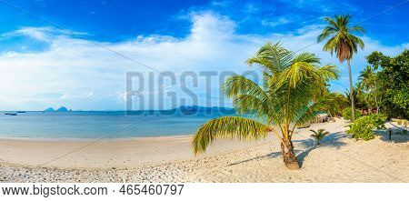 Panorama Of  Single Small Palm Tree Hanging Over Tropical Beach With White Sand