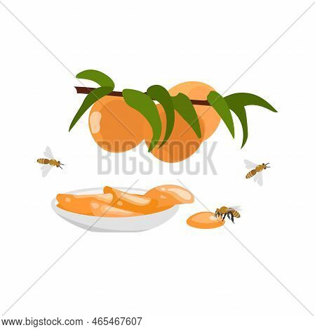 Peach Jam, Delicious Fruit Jam With Fresh Peaches On A Plate