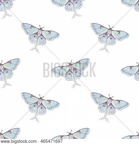 Watercolor Seamless Pattern With Illustration Luna Moth, Moon Butterfly, Actias Luna Isolated On Whi
