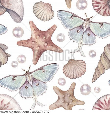Watercolor Seamless Pattern With Illustration Of Luna Moth, Seashells And Pearls, Actias Luna Isolat